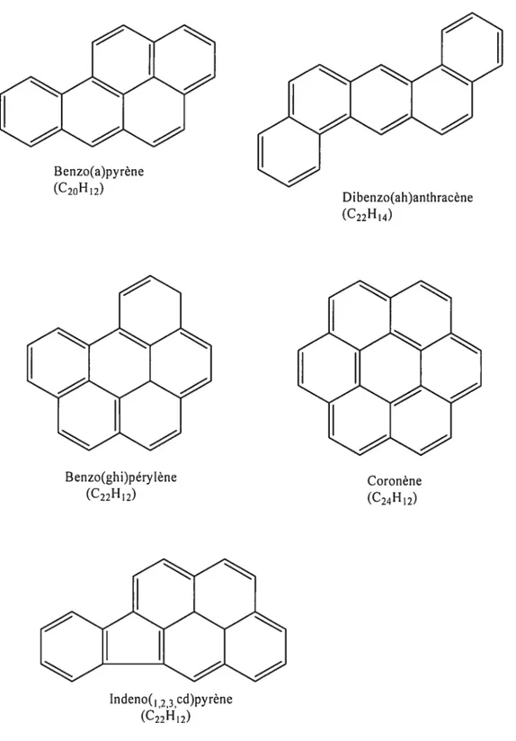 Figure 1. Structure chimique des HAP les plus communs