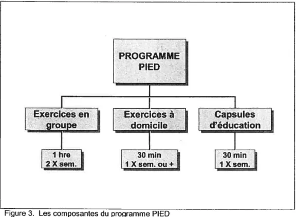 Figure 3. Les composantes du programme PIED