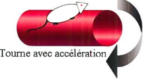 Figure C Test du rotorod