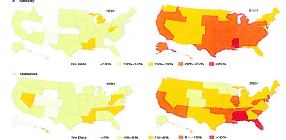 Figure 1: Prévalence de l’obésité et du diabète diagnostiqué aux États-Unis chez les adultes 1991-2001 (Mokad et ai, 2003, page 78)