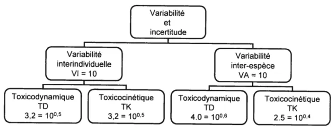 Figure I-2 Sous division des facteurs de variabilité en composantes toxicodynamique et toxicocinétique.