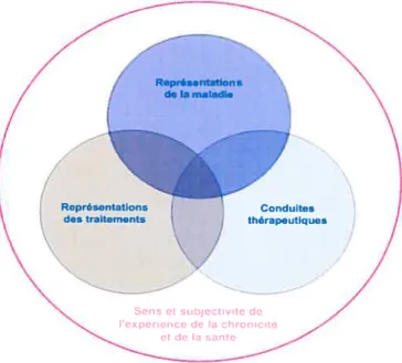 Figure 1: Représentations et conduites thérapeutiques