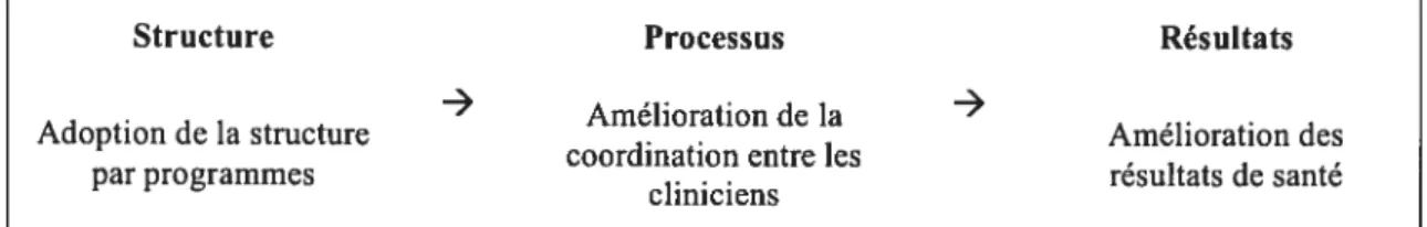 Figure 2 — Relations structure-processus-résultats dans la structure par programmes