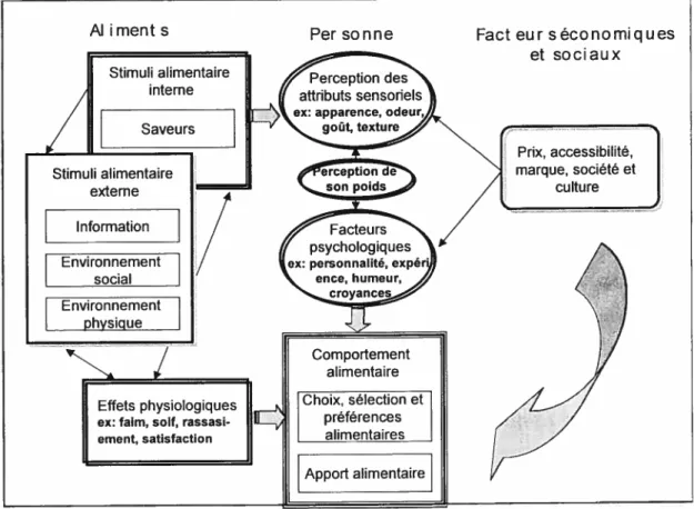 figure 3 — MàdèÏe du comportement alimentaire comprenant les facteurs personnels,