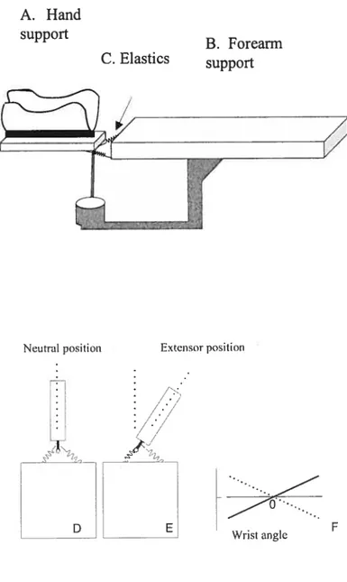 Figure 3. Wrist manipulandum used in the expenment. The forearm was placed on a horizontal platform (B) and the hand in a plastic spiit oriented vertically (A)