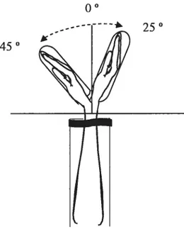 figure 4. Wrist position, before and afier the voluntary movement. In one set of trials, the movement was perforrned from an initial 45° wrist flexion position to a final 25 ° extension position