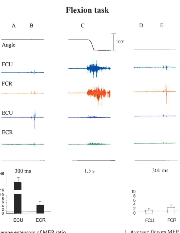 Figure 6. Vrist position (joint angle), EMG activity of wrist extensor muscles t E(’R