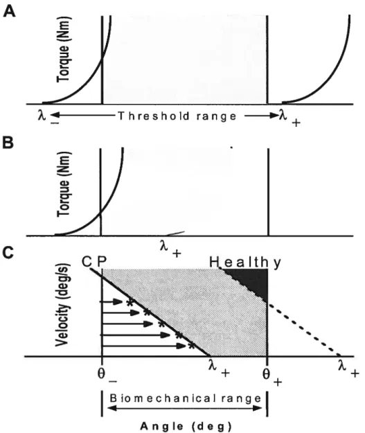 Fig. 1. Illustration du lambda model. L’étendue physiologique au repos (À+ à À-) est plus grande que l’étendue biomécanique de l’articulation (e- à e÷)