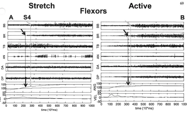 Fig. 4.2. EMG (arbitrary units) andkinematic(ANG, angle, O; VEL, velocity°/s;) data from subject S4 when the elbow flexors (BB and BR) were stretché (A) and reflexly activated during voluntary extension (B) and from subject S9 when the elbow extensors were