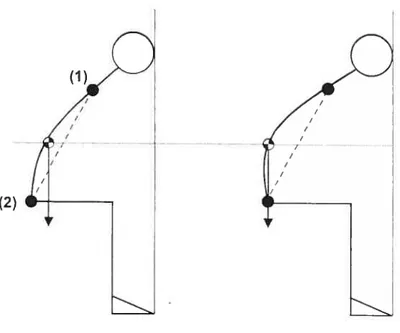 Figure 6.3: Center of mass and pelvic tilt in healthy petsons and in persons with hemiparesis.