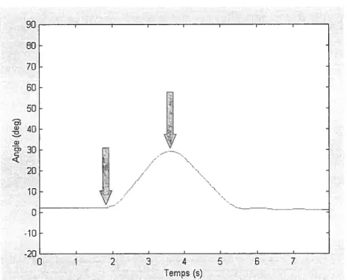 Figure 5.3: Tracé graphique d’amplitude angulaire de la flexion antérieure du tronc