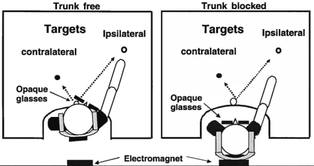 Figure 1: Experimental set-up. The subject sat in a cut-out section of a plexiglass table and wore goggles that obstructed vision of the hand and target when the signal to move was heard