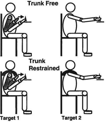 Figure 1 Experimental set up. Seated individuals reached towards a target placed at ½ or full arm’s length with either the trunk free to move (upper panel) or fixed to the chair back by a harness (Iower panel).