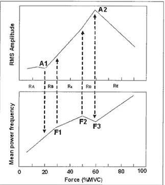 Figure 2.3. Schématisation de la relation RMS/Force et de la relation MPF/Force du signal MMG