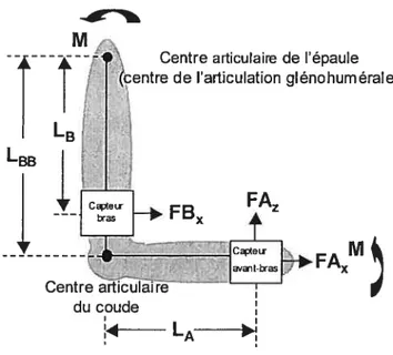 Figure 4.3 Représentation des forces et des bras de levier.