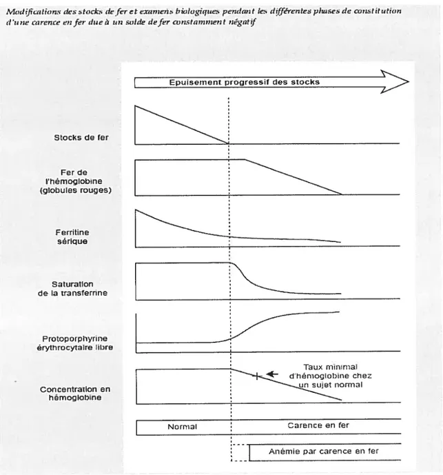 Figure 1: Différents indicateurs sériques de la déplétion des réserves de fer