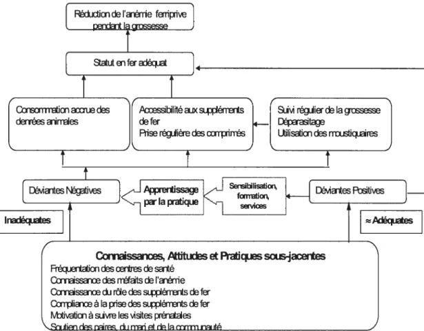 Figure 2: Cadre conceptuel de l’intervention