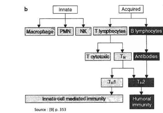 Figure 2 : Organisation du système immunitaire