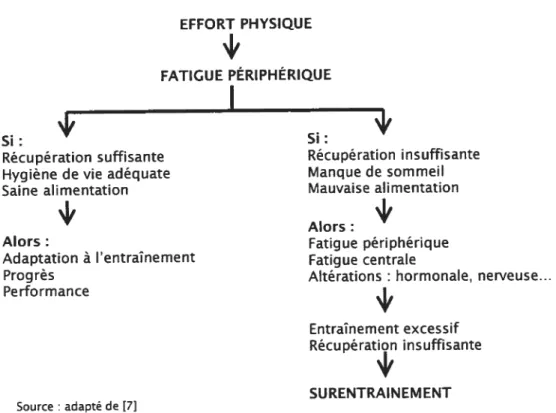 Figure 76: Étiologie du surentraînement