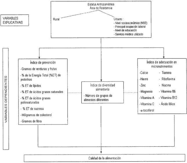 Figura 5: Variables del estudio