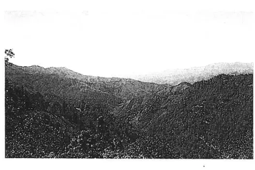 Figura 4. Vista panorâmica de la Sierra Madre del Sur