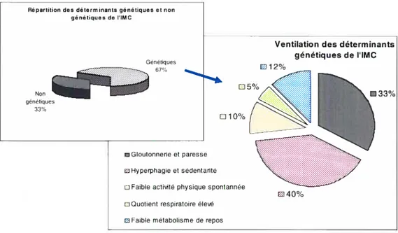 Figure 2 : Répartition des déterminants génétiques et non génétiques de l’IMC et la ventilation des facteurs génétiques