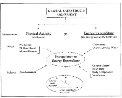 Fig. 3- Modèle conceptuel de la relation entre le mouvement, l’activité physique, la dépense énergétique ainsi que les méthodes de mesures [24]