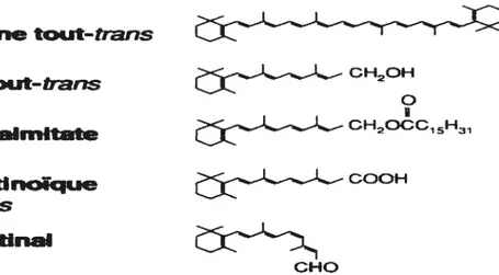 Figure I : Structure chimique du rétinol et de certains métabohtes et composés apparentés