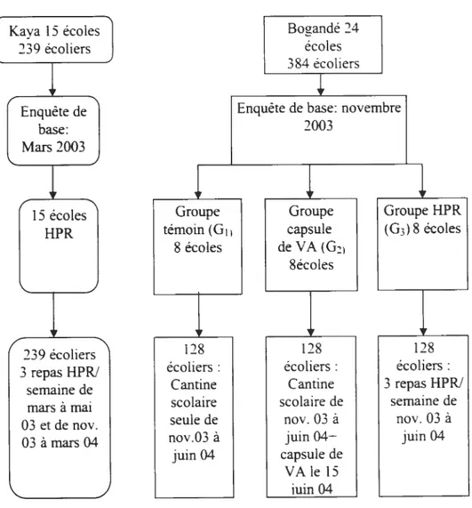 Figure 3 : Protocole de l’évaluation de l’impact â Bogandé et Kaya