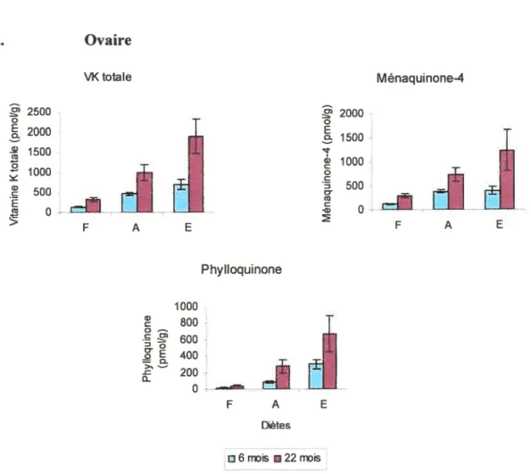 figure 7. Concentrations tissulaires de la vitamine K totale (phylloquinone + ménaquinone-4), de la ménaquinone-4 et de la phylloquinone dans les organes de rates âgées de 6 et 22 mois