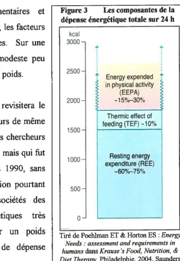 Figure 3 Les composantes de la