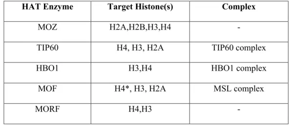 Table 2: The MYST HAT family and their target histone subunits. 