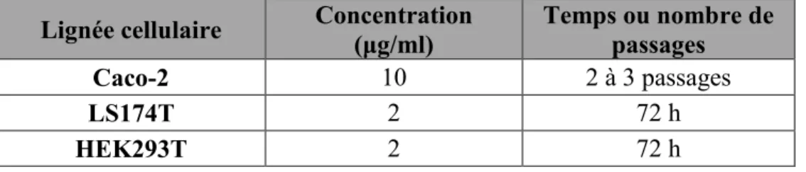 Tableau 1. Concentration de puromycine et temps de sélection pour les lignées cellulaires  épithéliales transduites.