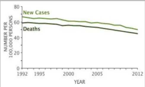 Figure 35 : Cancer broncho-pulmonaire : Taux d’incidence et de mortalité                                     de 1992 à 2012 des deux sexes - ajustés pour l’âge - Source : SEER (2) 