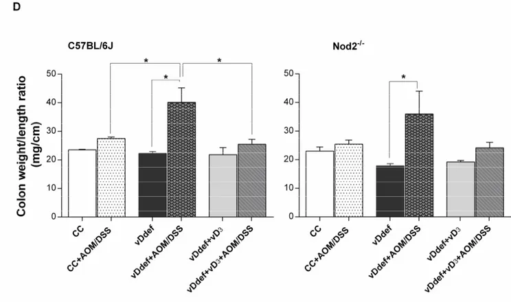 Figure 2. The effect of vD deficiency and vD 3  supplementation on susceptibility of C57BL/6J 