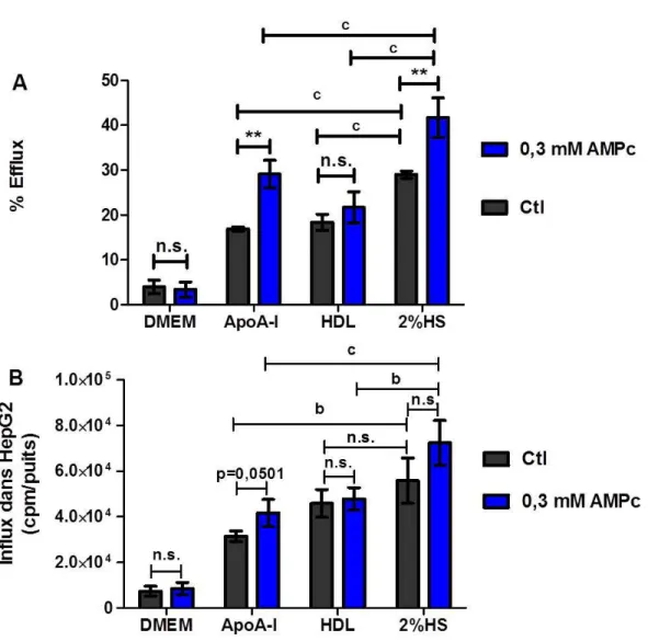 Figure 7. Pourcentage d’efflux et comptes bruts dans les HepG2 avec différents  accepteurs de cholestérol par transfert