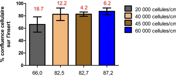 Figure 8. Détermination de densité optimale d’ensemencement des cellules  HepG2 sur la membrane de l’insert du système de co-culture