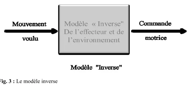 Fig. 3 : Le modèle inverse  