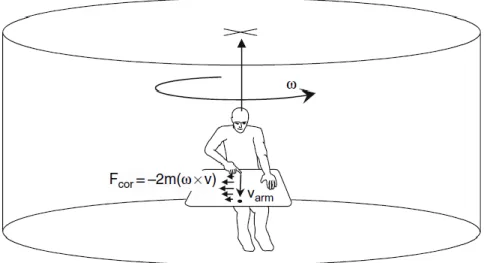 Fig. 6: Schéma représentatif du paradigme dans l’expérience de Lackner et Dizio (1994) 