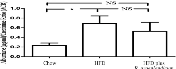Figure 1. Albumin/creatinine ratio (ACR) is elevated in HFD-fed mice at the 16th week of study