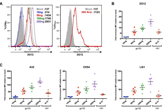 Figure 2.5  (Article  3  Figure  1)  Recognition  of  recombinant  HIV-1 gp120-coated  and  HIV-1 infected target cells by specific anti-gp120 antibodies