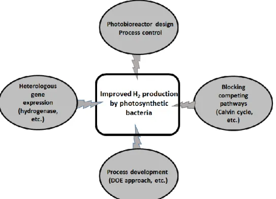 Figure  3.  Various  approaches  towards  improving  H2  production  by  photosynthetic  bacteria