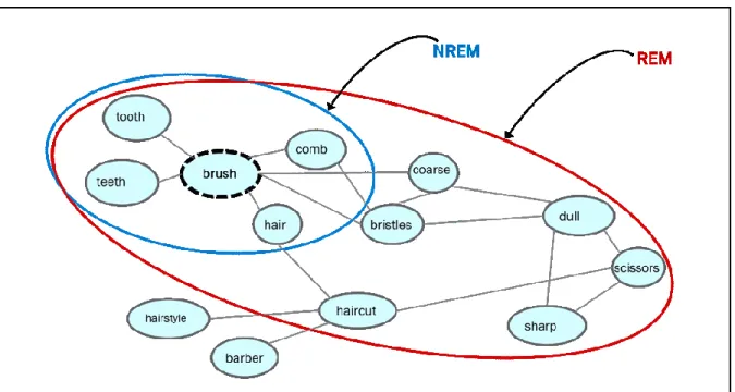 Figure 1. Semantic access in NREM and REM sleep 