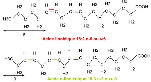 Figure 8 : Formule chimique des acides gras polyinsaturés. Schéma extrait de www.123bio.net H2C H3C C H2 C H2 C H2 C H2 H2C HC HC C H2 C H2 C H2 6 Acide linoléique 18:2 n-6 ou ω6 C H2 H3C C H2 C H2 C H2 H2C H2C H2C HC HC HC HC C H2 C H2 C H2  COOH 3 HC HC Acide α-linolénique 18:3 n-3 ou ω3 HC HC H2C COOH H2C H2C 