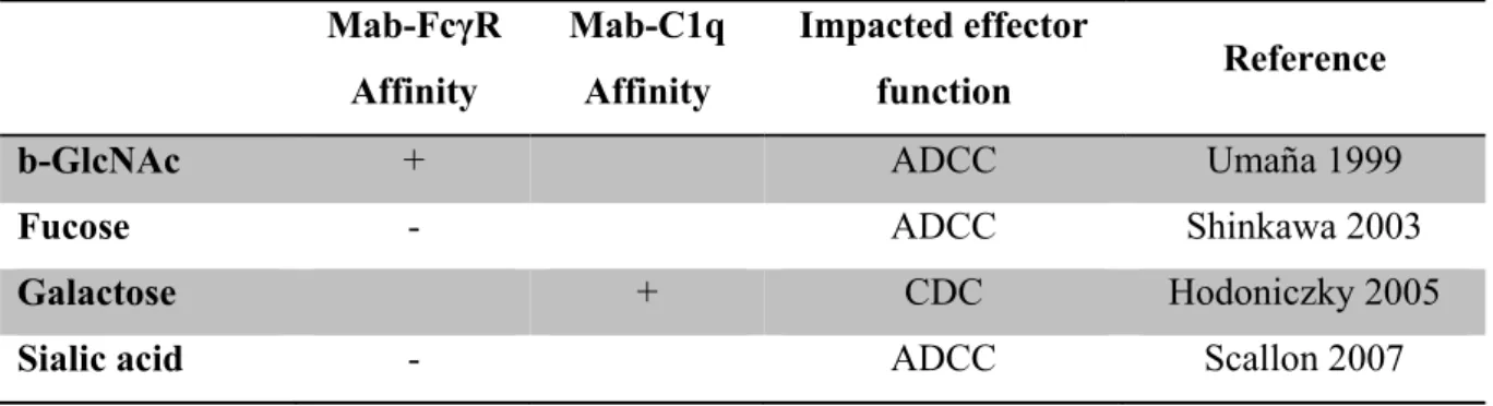 Table  2:  Impact  of  the  presence  of  extra-core  monosaccharides  on  IgG  ADCC  and  CDC  effector functions (as of 2012 knowledge) 