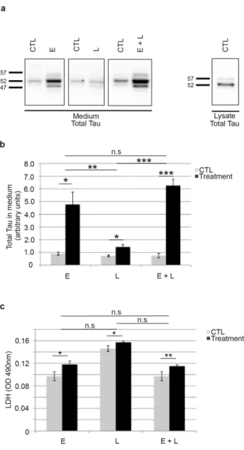 Figure  1  |  EBSS, leupeptin and EBSS+leupeptin increased the secretion  of  endogenous  tau  by 