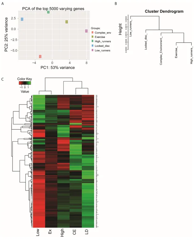 Figure III.4. RNA-Seq overview 