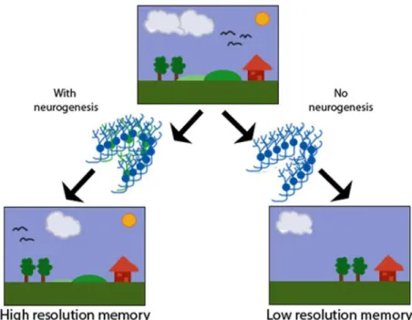 Figure I.11. Memory resolution    