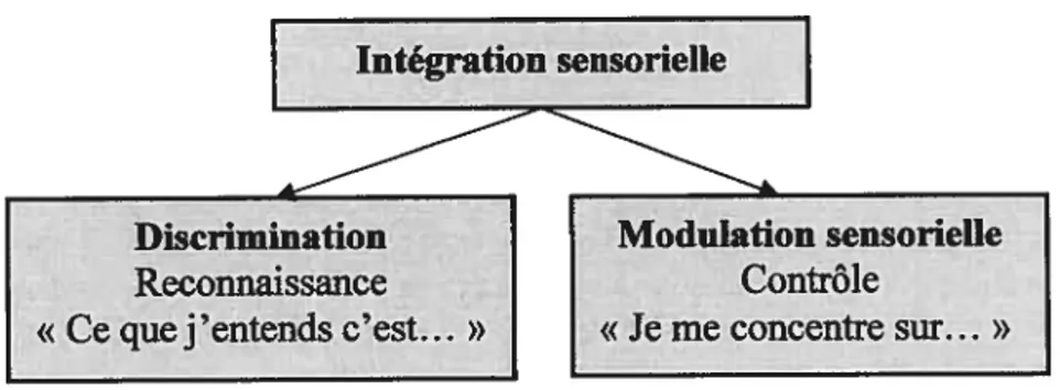 figure 1. Conception des processus d’intégration sensorielle selon Ayres, 1989