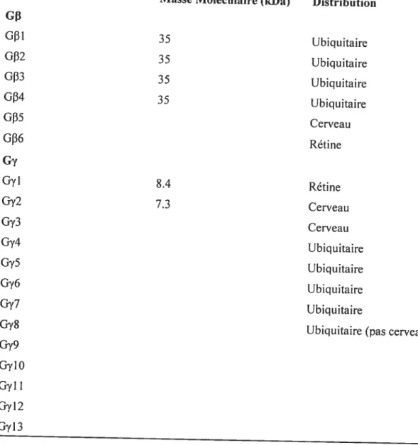 Tableau 3 : Classification des sous-unités bêta et gamma de la protéine G. (tableau adapté d’Offermans, 2003)